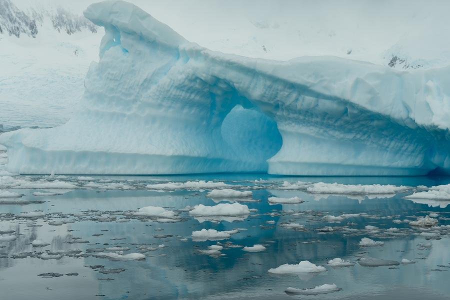 Blue Ice Cathedral — Antarctic Peninsula Iceberg — Fine art canvas print by Naomi McLeod