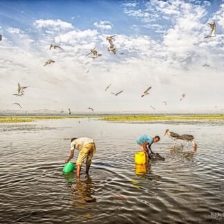 Fishermen and Marabou Storks — Lake Awassa, Ethiopia