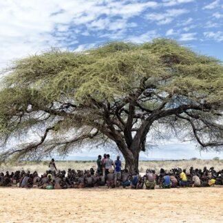 The Gathering Tree — Traditional Village Meeting, Tanzania