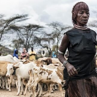 Hamar Woman with Cattle — Omo Valley, Ethiopia
