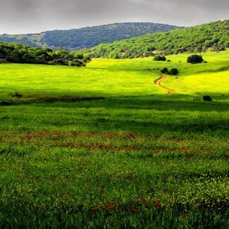 Spring Meadow Path — Rural Spain Landscape Photography