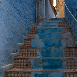 Blue Medina Cat — Chefchaouen, Morocco