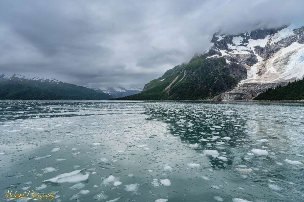 Glacier Bay Alaska Floating Ice and Misty Mountains Wall Art — Fine art canvas print by Naomi McLeod