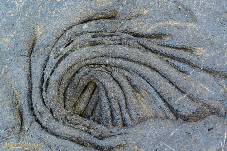 Ancient Spiral Rock Formation Natural Abstract Wall Art