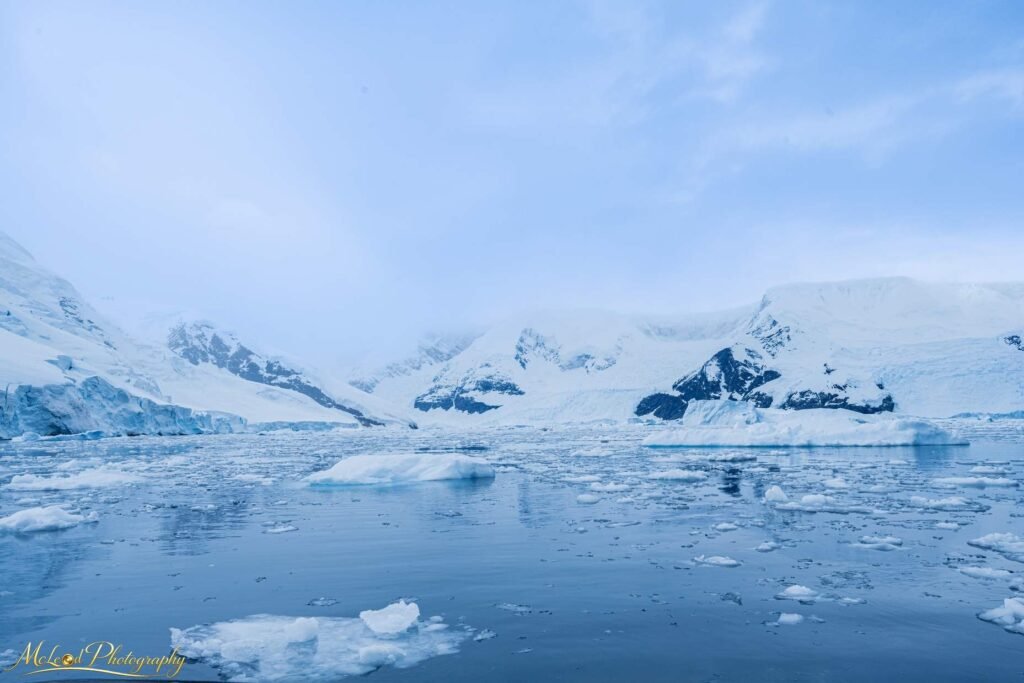 Antarctic Glacier Bay with Floating Ice and Snow Mountains — Fine art canvas print by Naomi McLeod