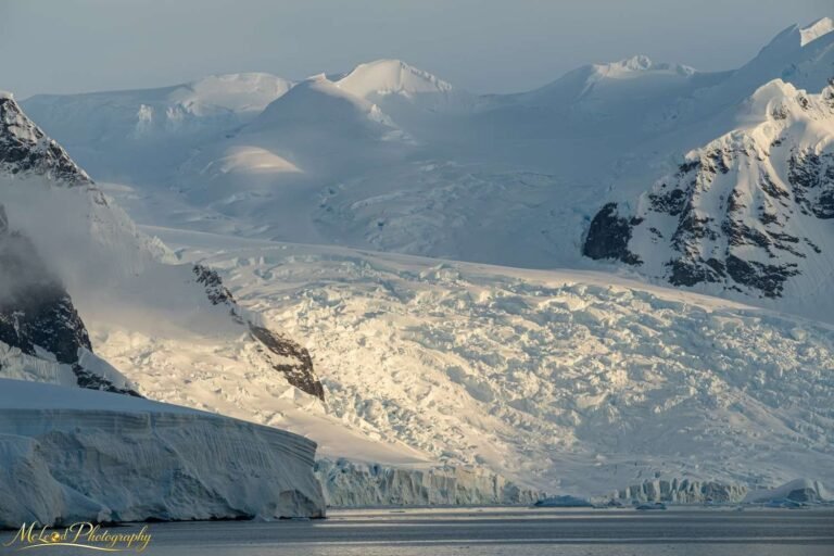 Antarctic Glacier at Golden Hour | Stunning Polar Wall Art