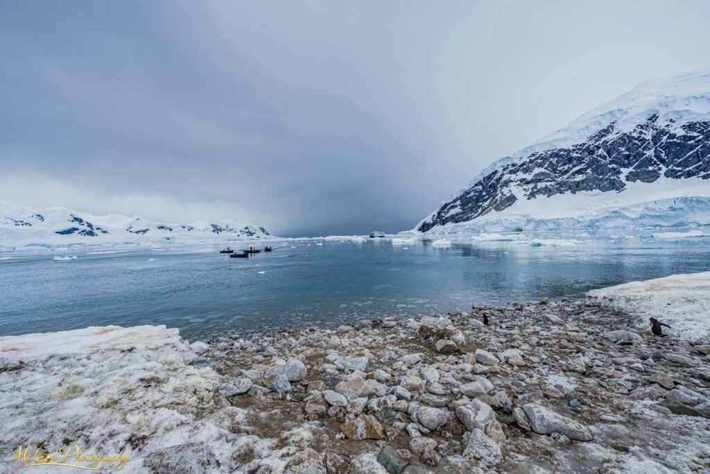 Antarctic Glacier Bay with Penguins and Expedition Ship — Fine art canvas print by Naomi McLeod