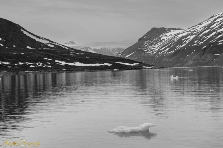 Arctic Fjord with Floating Icebergs and Snow-Capped Mountains