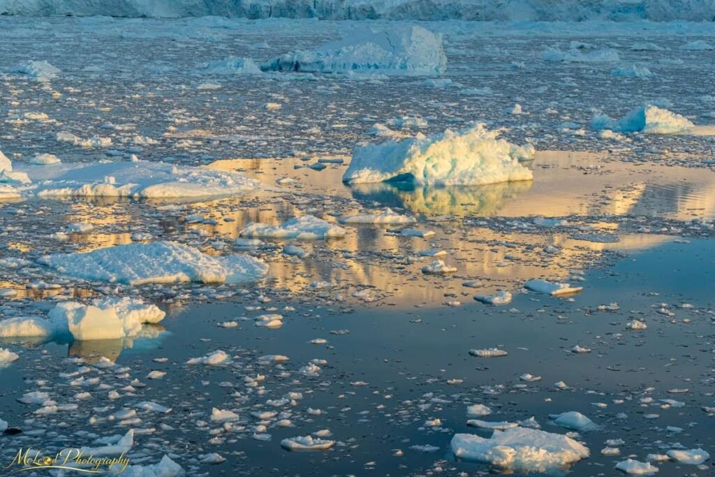 Fine art canvas print: Arctic Ice Floes at Golden Hour | Glacier Bay Wall Art &mdash; Landscapes Photography