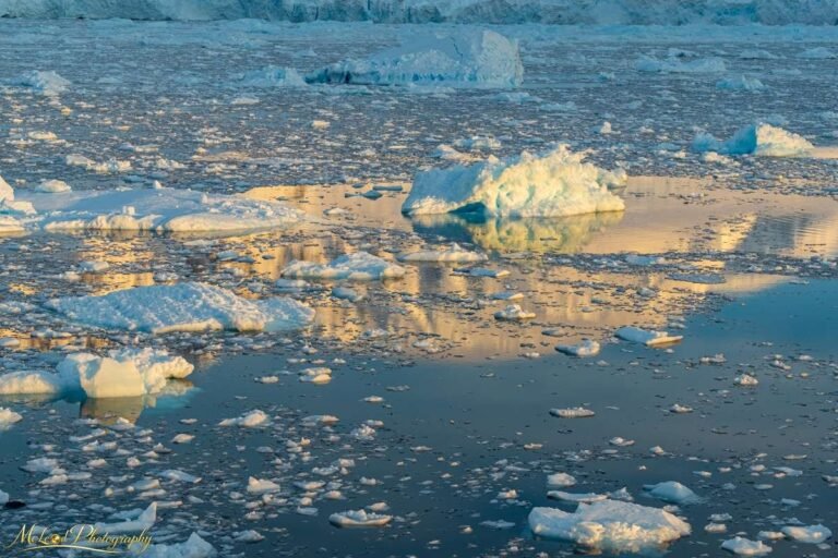 Arctic Ice Floes at Golden Hour | Glacier Bay Wall Art