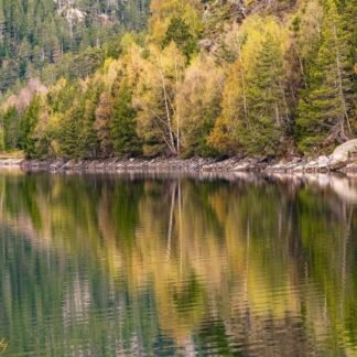 Autumn Alpine Lake Reflection with Golden Forest Wall Art