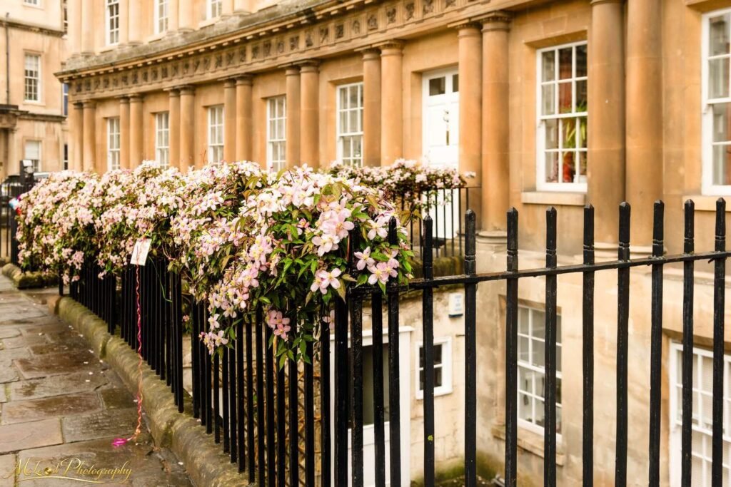 Pink Clematis on Georgian Railings at Bath Royal Crescent — Fine art canvas print by Naomi McLeod