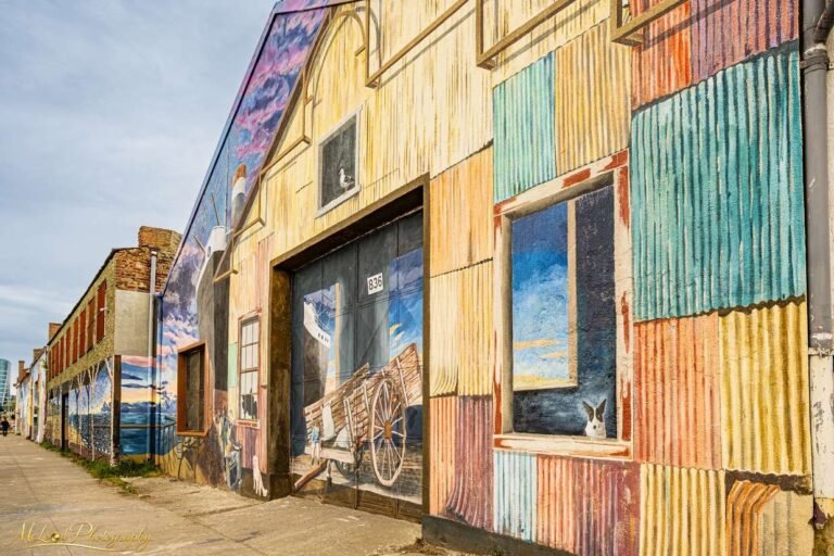 Vibrant Valparaiso Warehouse Mural Street Art Canvas Print
