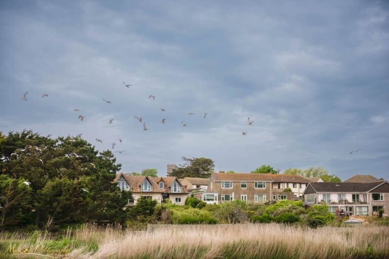English Coastal Village with Seagulls Over Salt Marsh