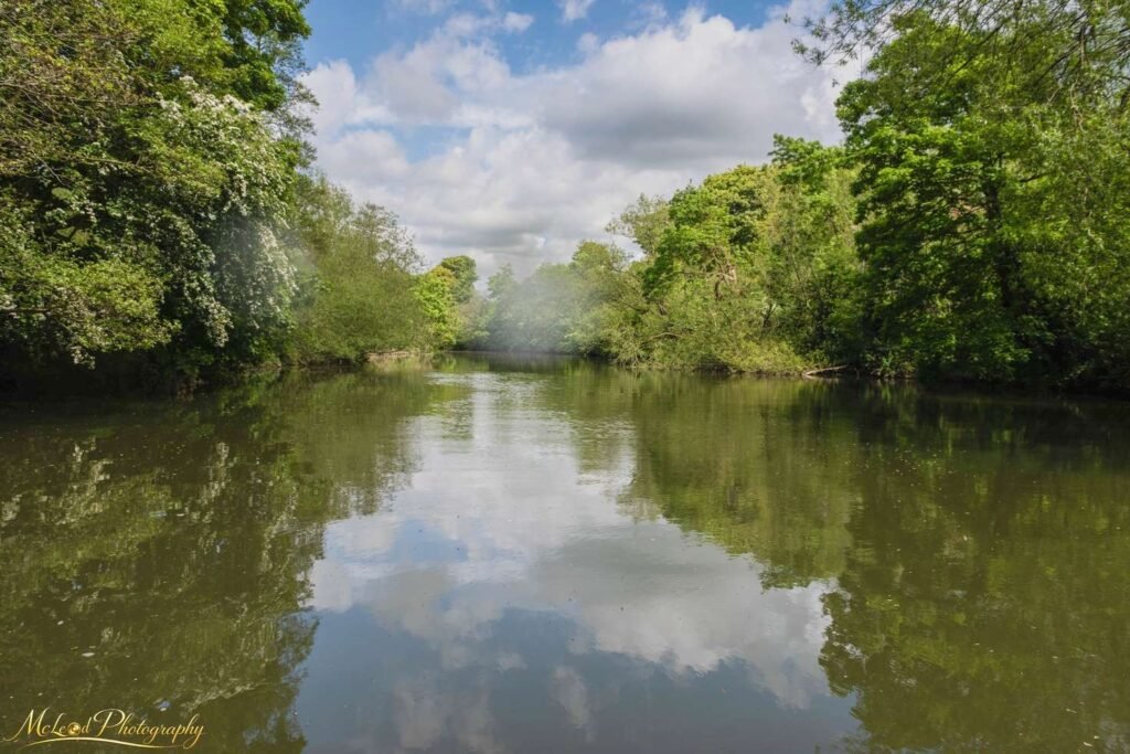Tranquil English River with Summer Woodland Reflections — Fine art canvas print by Naomi McLeod