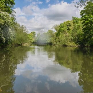 Tranquil English River with Summer Woodland Reflections
