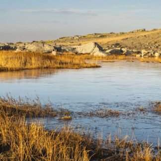 Frozen Arctic Pond with Golden Grass and Ancient Stone Cairn