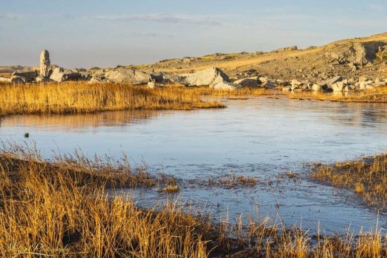 Frozen Arctic Pond with Golden Grass and Ancient Stone Cairn
