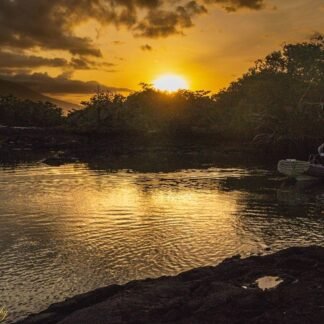 Golden Sunset Over Galapagos Mangrove Lagoon Canvas Print