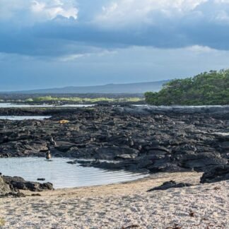Galapagos Volcanic Coastline with Black Lava Rock Beach