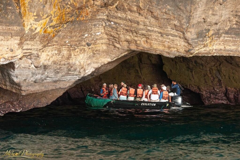 Galapagos Sea Cave Zodiac Expedition Adventure Photography — Fine art canvas print by Naomi McLeod