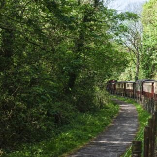 Heritage Steam Train Journey Through Lush Green Woodland