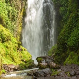 Majestic Tropical Waterfall in Lush Green Canyon