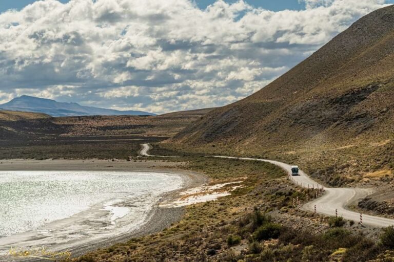 Patagonian Highway Winding Through Andean Mountains