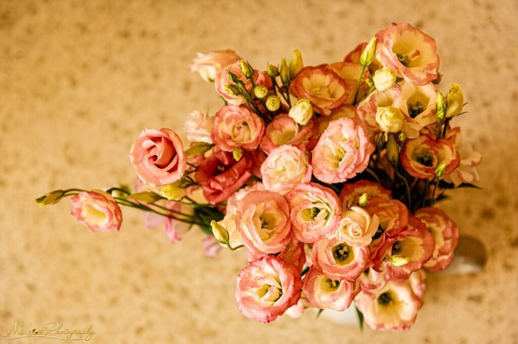 Pink Lisianthus Bouquet Fine Art Floral Photography Print — Fine art canvas print by Naomi McLeod