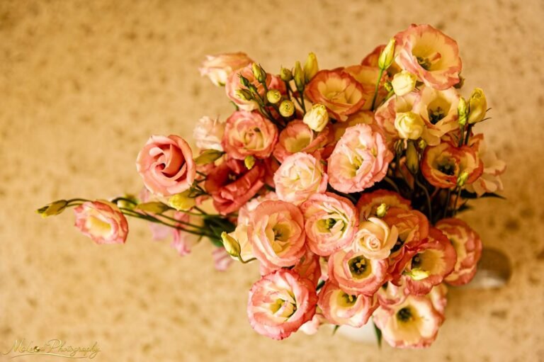 Pink Lisianthus Bouquet Fine Art Floral Photography Print