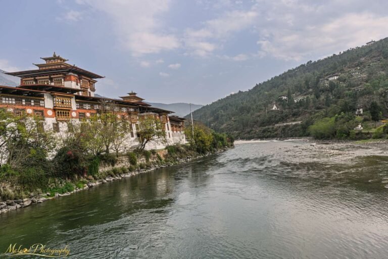 Punakha Dzong Fortress on River Bhutan Himalayan Wall Art