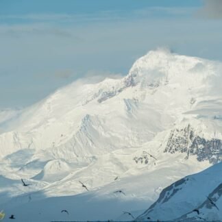 Majestic Snow-Capped Antarctic Mountain with Soaring Birds
