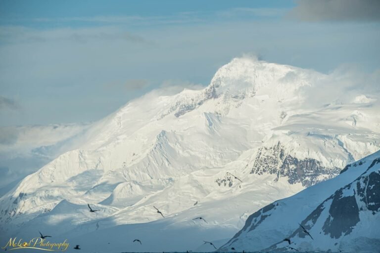 Majestic Snow-Capped Antarctic Mountain with Soaring Birds