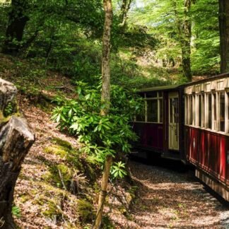 Vintage Red Train Winding Through Lush Welsh Forest
