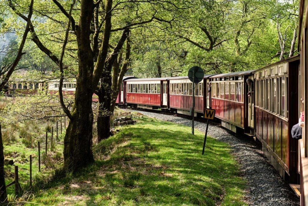 Vintage Welsh Railway Train Winding Through Spring Woodland — Fine art canvas print by Naomi McLeod