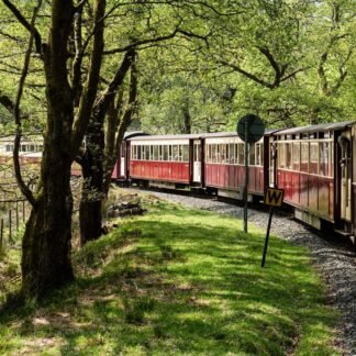 Vintage Welsh Railway Train Winding Through Spring Woodland