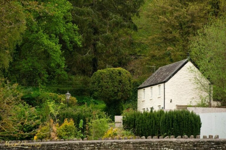 White Welsh Cottage Nestled in Lush Green Woodland