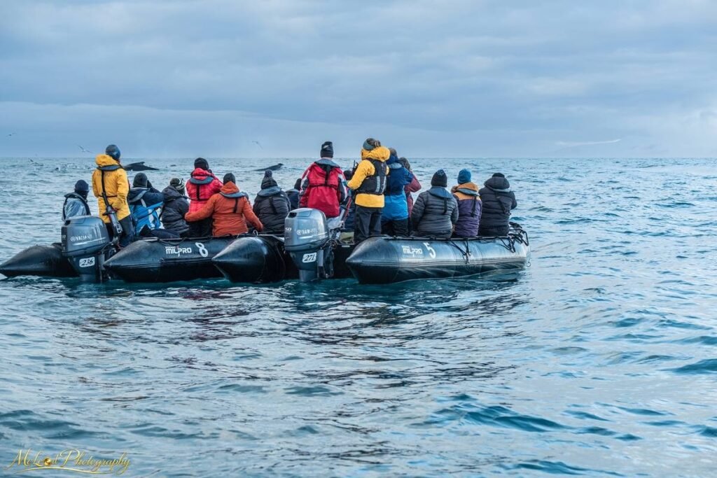 Arctic Whale Watching Expedition Zodiac Boats Ocean Adventure — Fine art canvas print by Naomi McLeod