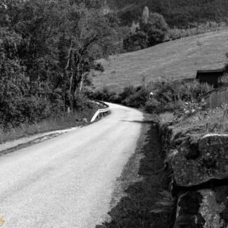 Winding Alpine Country Road Black and White Fine Art Print