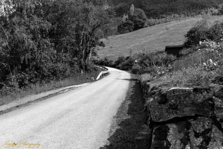 Winding Alpine Country Road Black and White Fine Art Print