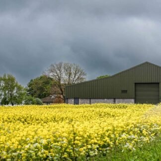 Golden Rapeseed Fields Under Moody English Skies