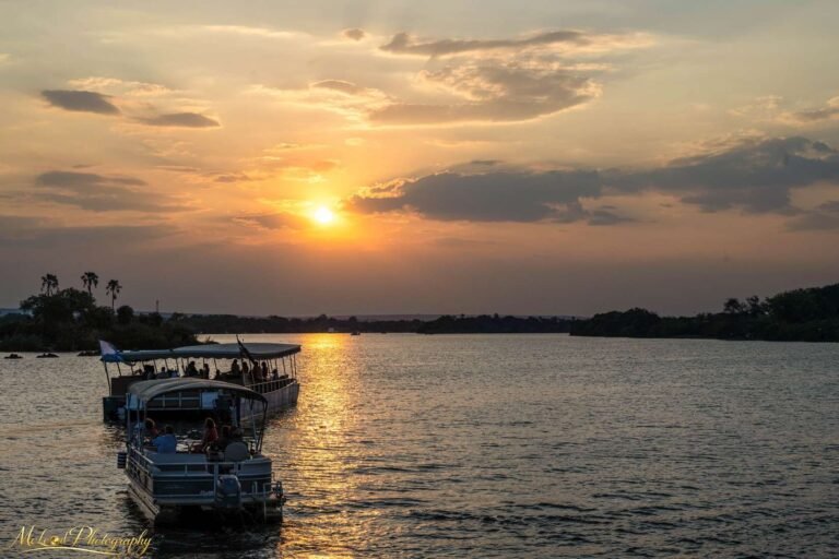 Golden Zambezi River Sunset Cruise – African Safari Wall Art